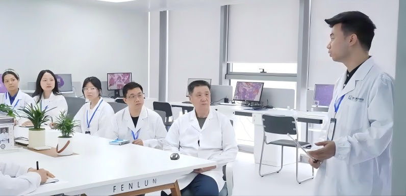 专家团队